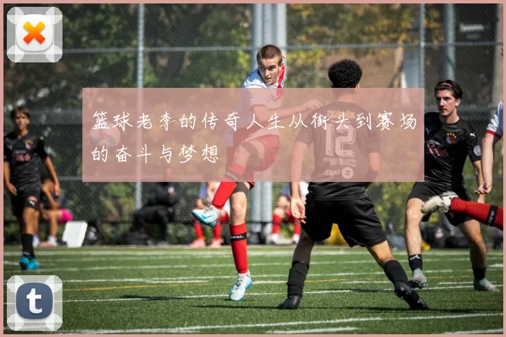 篮球老李的传奇人生从街头到赛场的奋斗与梦想