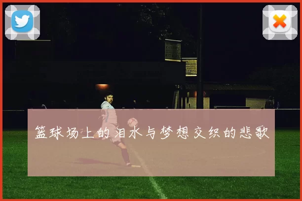 篮球场上的泪水与梦想交织的悲歌
