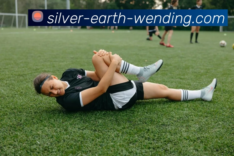 问鼎娱乐APP 封面图